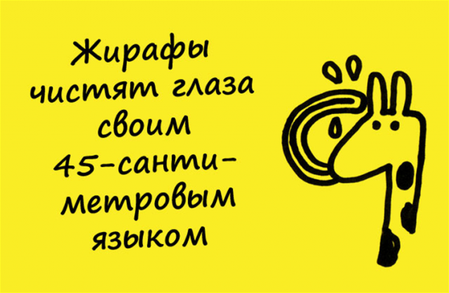 Забавные факты