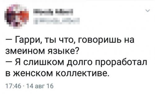 Прикольные комментарии из соцсетей