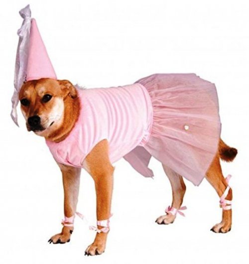 Забавные костюмы для собак на Хэллоуин