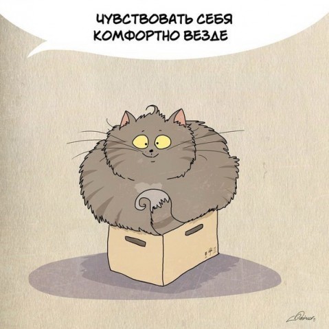 Нам есть чему поучиться у шерстяных друзей
