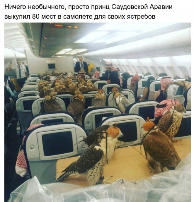 Что бывает в самолете