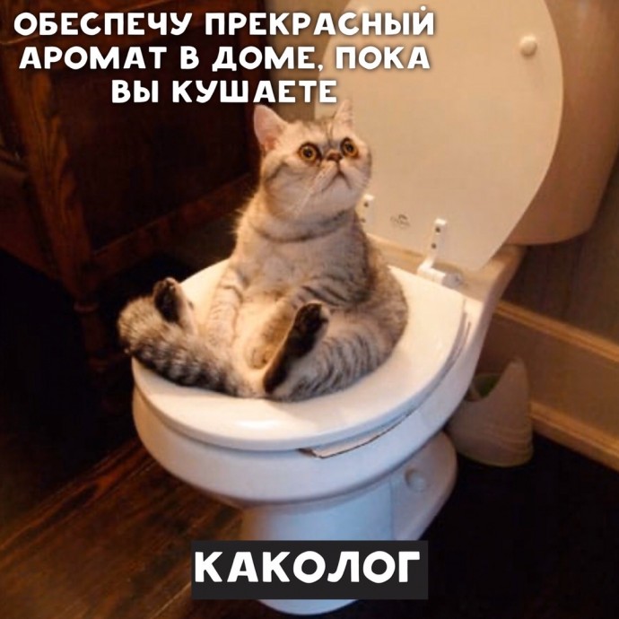 Если бы котики были врачами