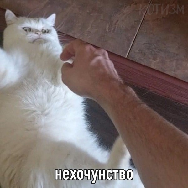 Набор твоих состояний на каждый день: