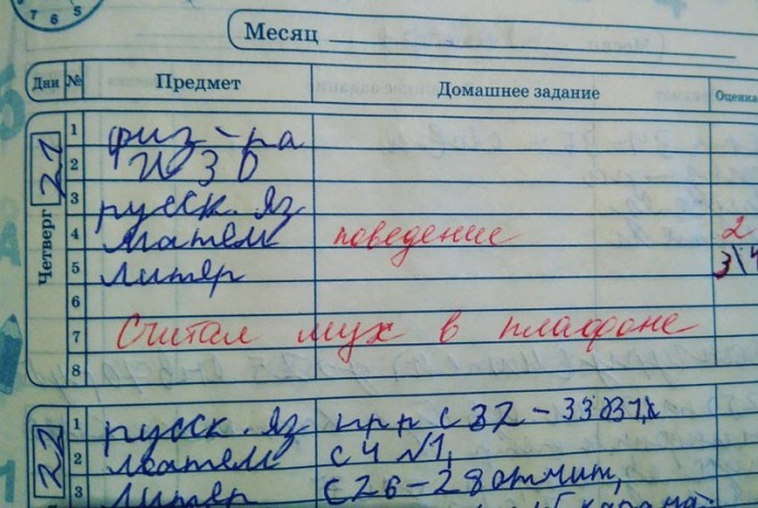 "Забавные" замечания от преподавателей