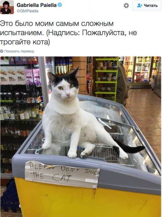 8 твитов, которые доказывают, что в мире гораздо больше добра, чем кажется 8 твитов, которые доказывают, что в мире гораздо больше добра, чем кажется