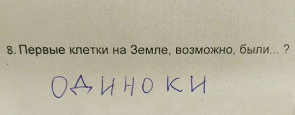 Когда учишься в младших классах, но уже познал жизнь.