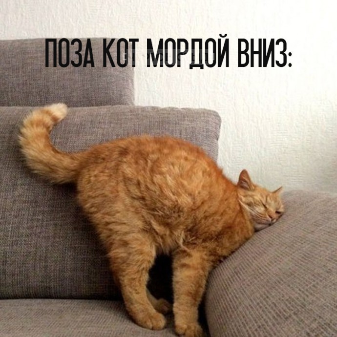 Котойога