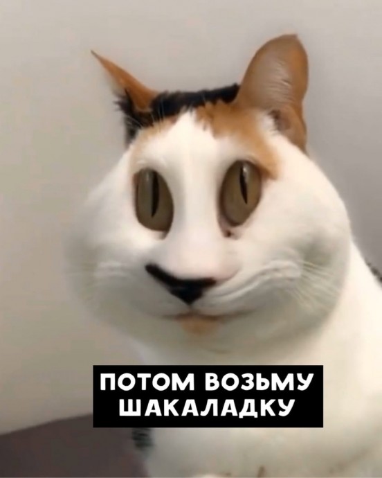 Мысли, которые греют душу