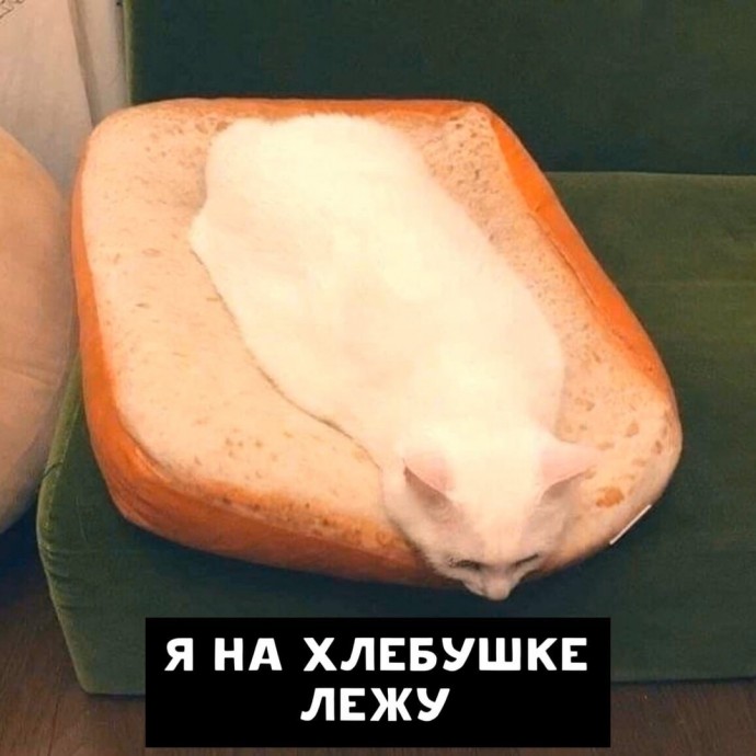 Песенка дня