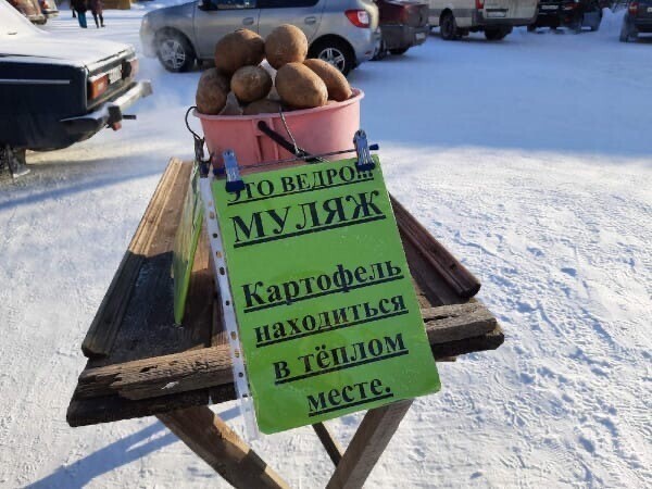 Такое могли написать только наши люди!