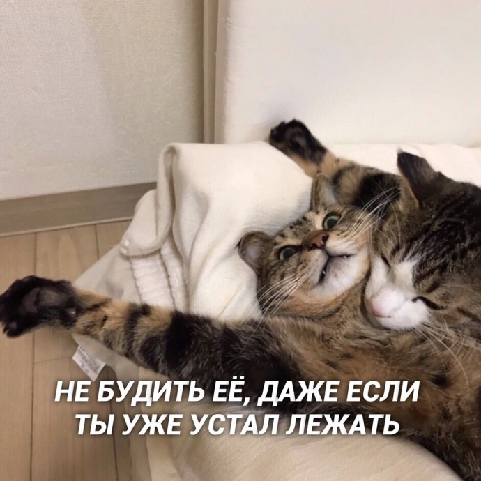 Любовь - это