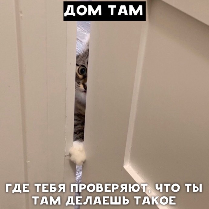 О доме