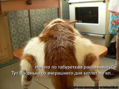 Котоматрица