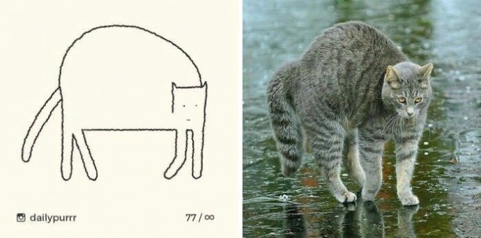 Рисовать котов – это искусство