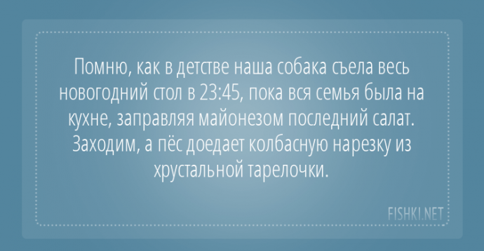 Пользователи интернета поделились забавными историями, которые произошли с их собаками Пользователи интернета поделились забавными историями, которые произошли с их собаками