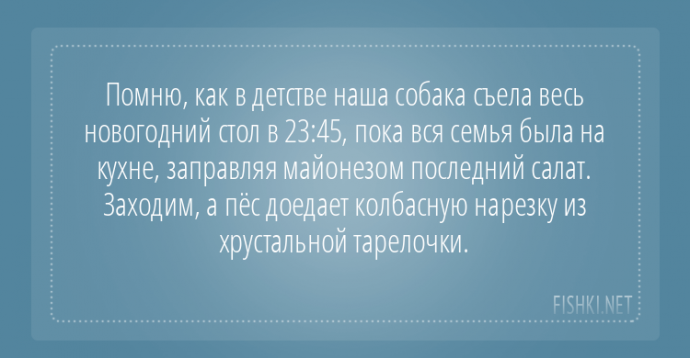 Пользователи интернета поделились забавными историями, которые произошли с их собаками