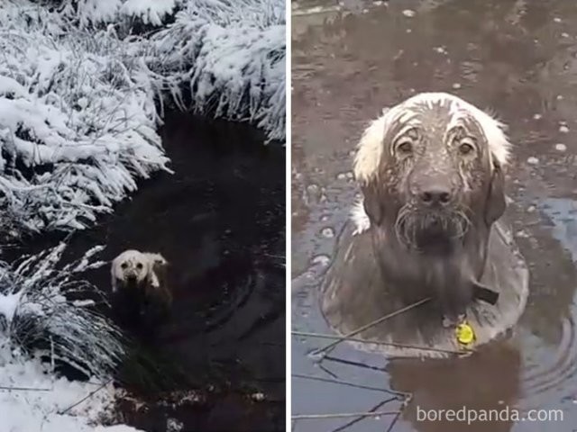 Танки грязи не боятся