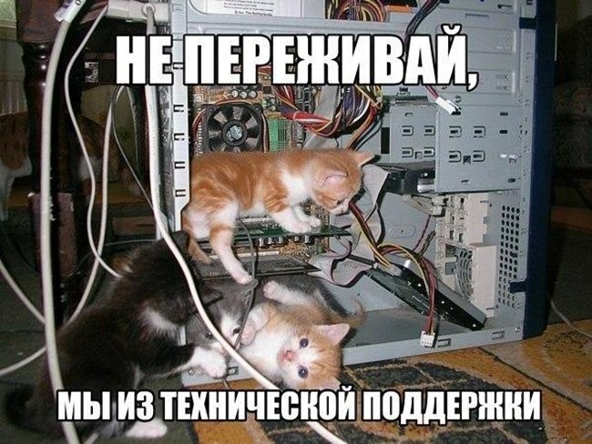 Котоматрица.