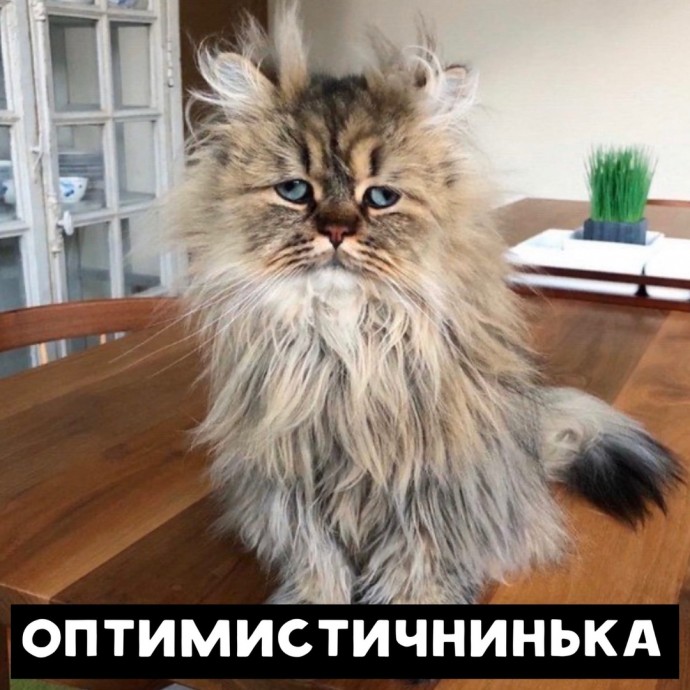 - Ну как твоё утро?