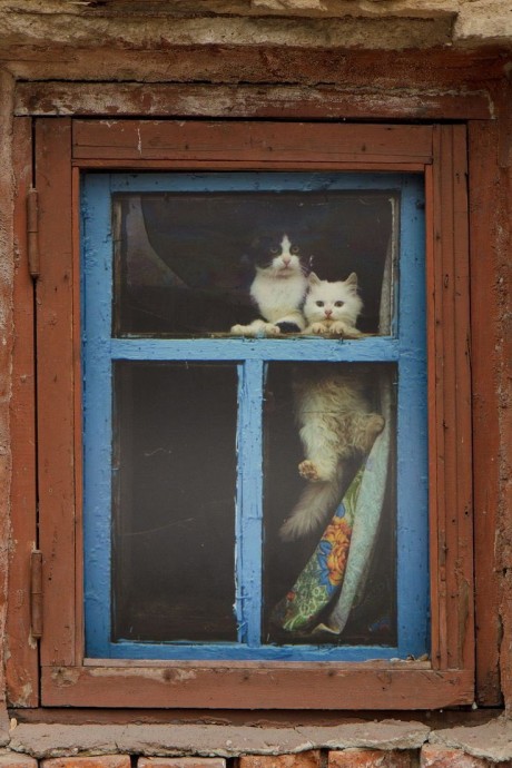 Им везде удобно