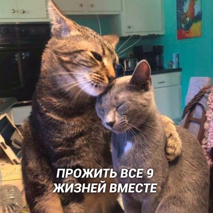 Любовь - это