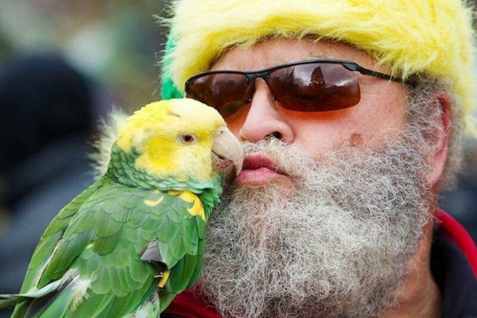 Пестрый мир попугаев