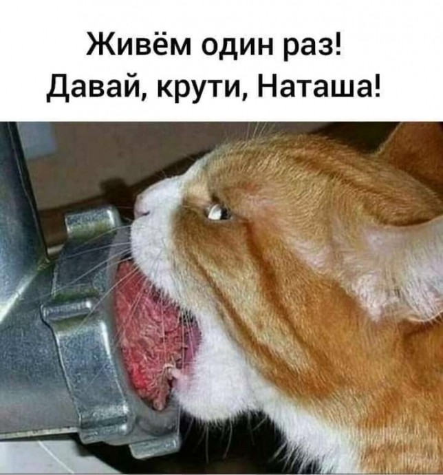 Главное стырить, а там разберёмся)