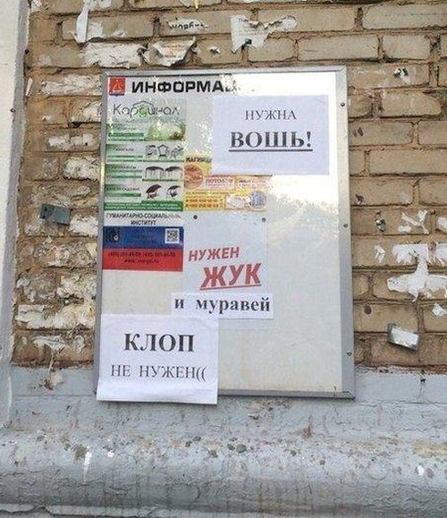 Объявления, которые можно увидеть только на рынках