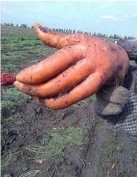 Когда природа шутит