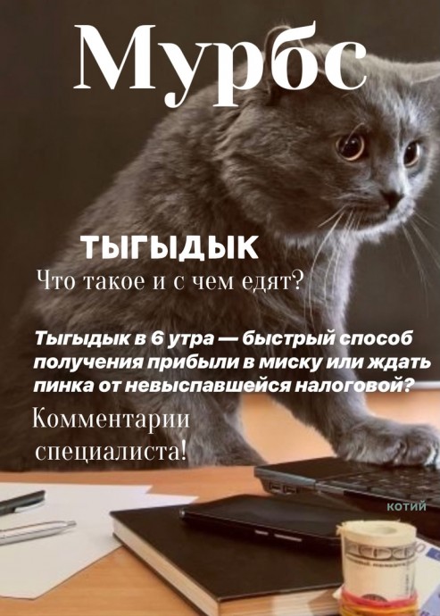 Мурбс — журнал успешных котиков