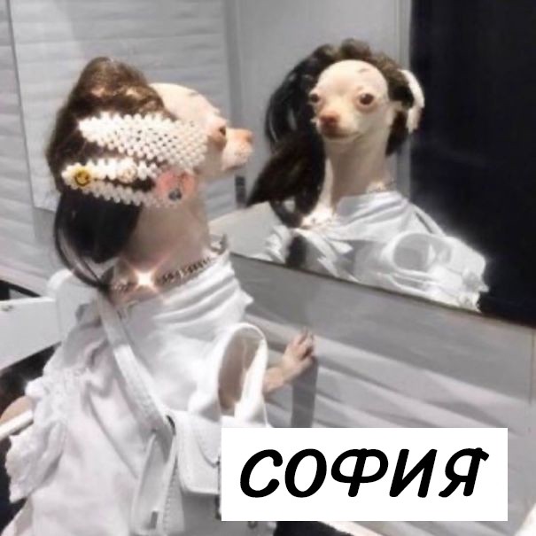 Новый флешмоб: Какой ты пёсель... Есть совпадения?