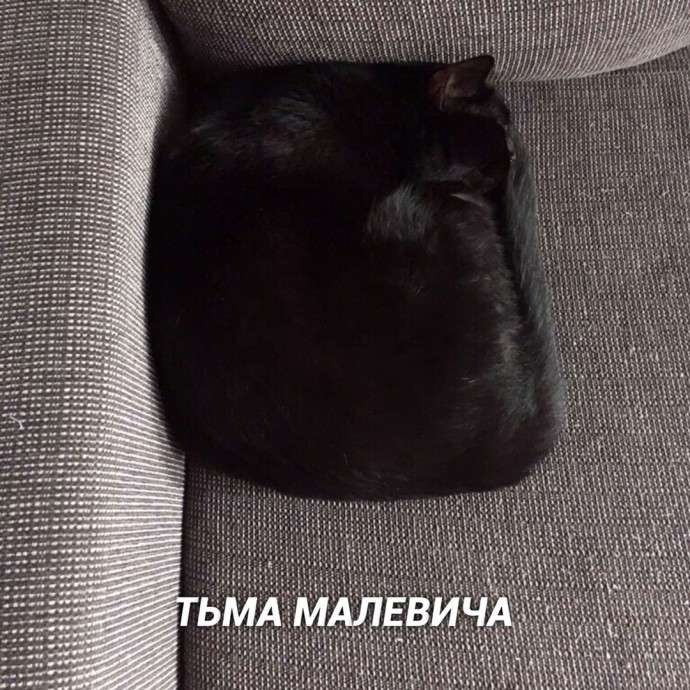 Виды тьмы