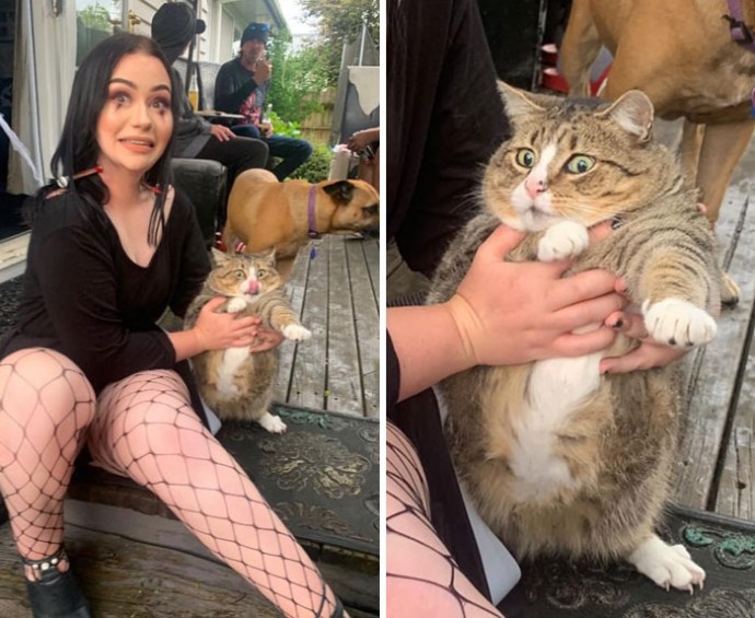 Если бы не лапки у котиков, то они обязательно удаляли бы такие фотографии Если бы не лапки у котиков, то они обязательно удаляли бы такие фотографии