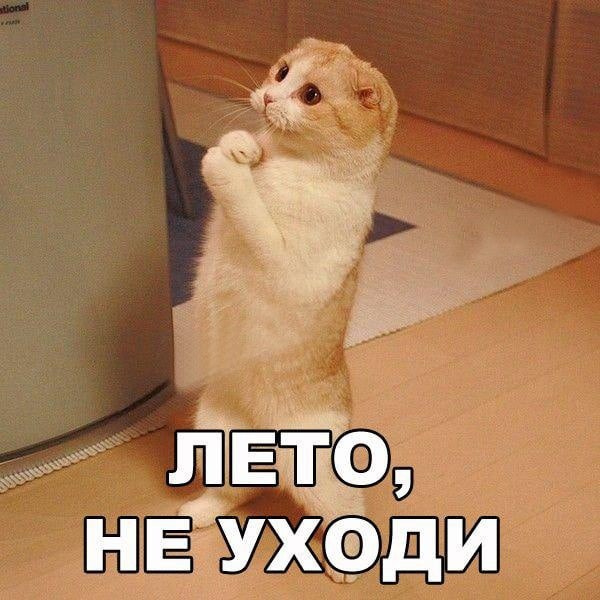 Я так хочу, чтобы лето не кончалось...)