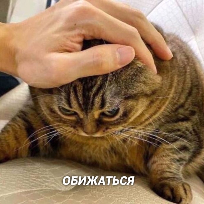 Это те 8 дел, которые я лучше всего делаю и у меня получается ИДЕАЛЬНО! Это те 8 дел, которые я лучше всего делаю и у меня получается ИДЕАЛЬНО!