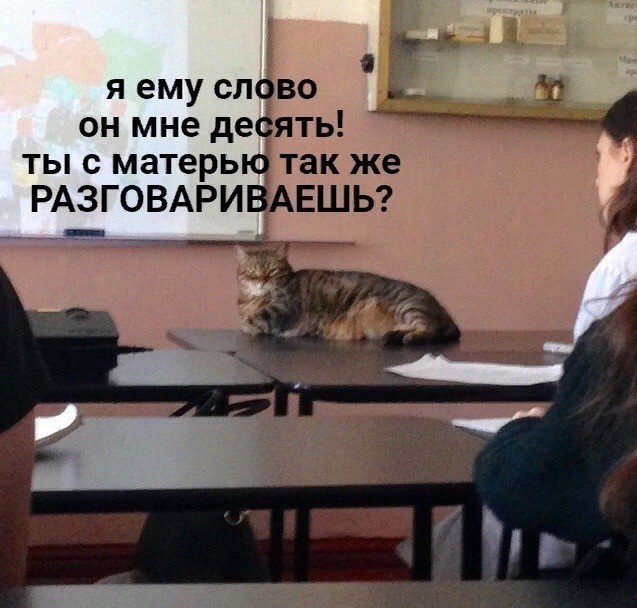 Профессор Макгонагалл