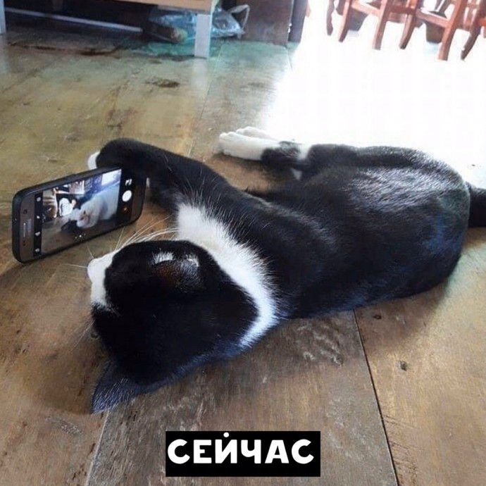 Раньше и сейчас