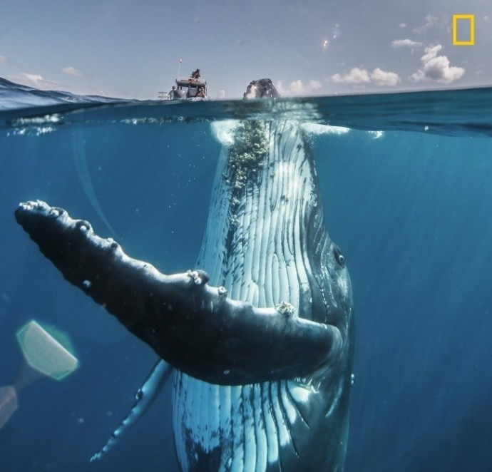 Самые удивительные фотографии National Geographic