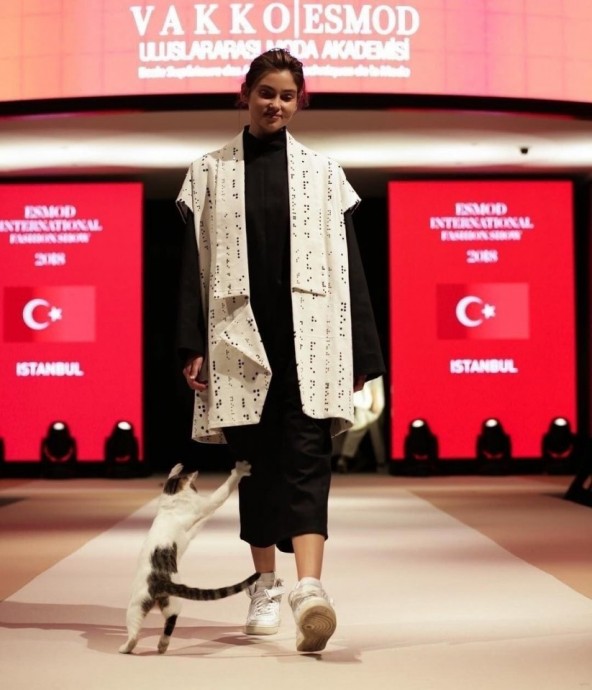 В Стамбуле кошка затмила всех моделей на показе мод