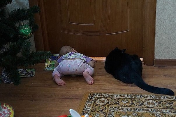 Говорят: меньше знаешь - крепче спишь.. - Ерунда!!!! Пока не узнаешь - вообще фиг уснешь!!! Говорят: меньше знаешь - крепче спишь.. - Ерунда!!!! Пока не узнаешь - вообще фиг уснешь!!!