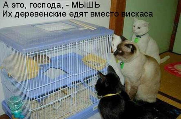 ����������� ��� 2