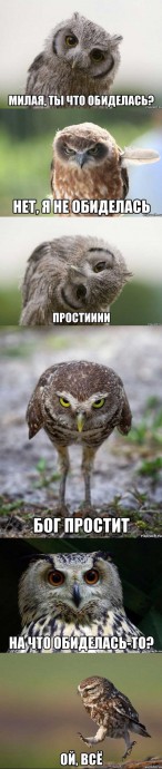 Эмоциональные совы