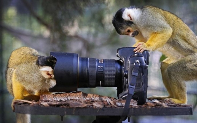 Тут без второй фотокамеры точно не обойтись.