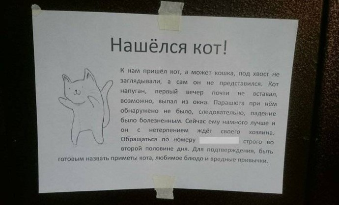 Коты настолько самодостаточны, что для них и про них уже сочиняют объявления