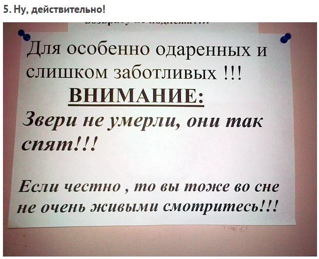 Забавные эпизоды из зоопарка