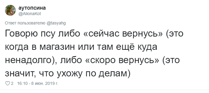 Что говорят своим питомцам перед уходом из дома