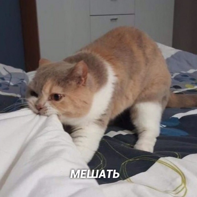 Это те 8 дел, которые я лучше всего делаю и у меня получается ИДЕАЛЬНО! Это те 8 дел, которые я лучше всего делаю и у меня получается ИДЕАЛЬНО!