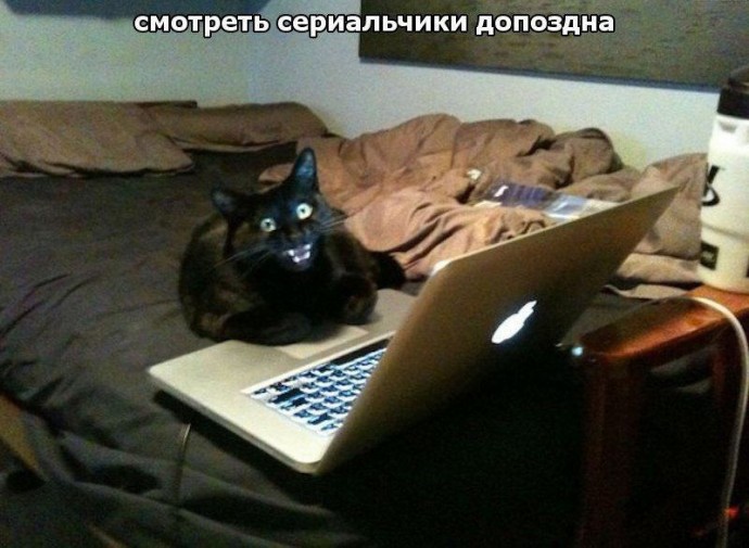 В этом я действительно силен: