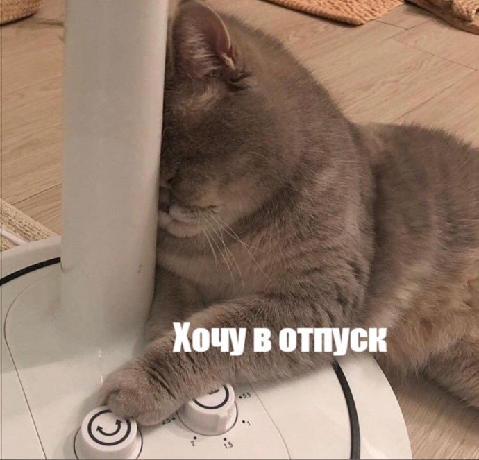 Я каждые будни: