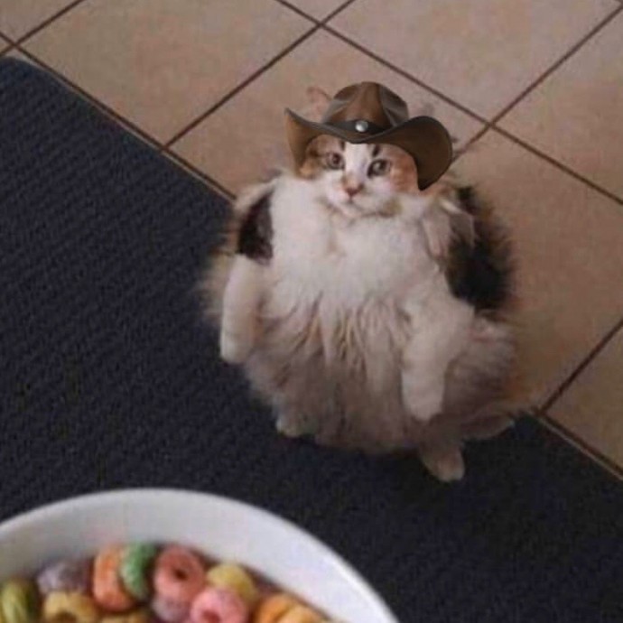 Ковбои